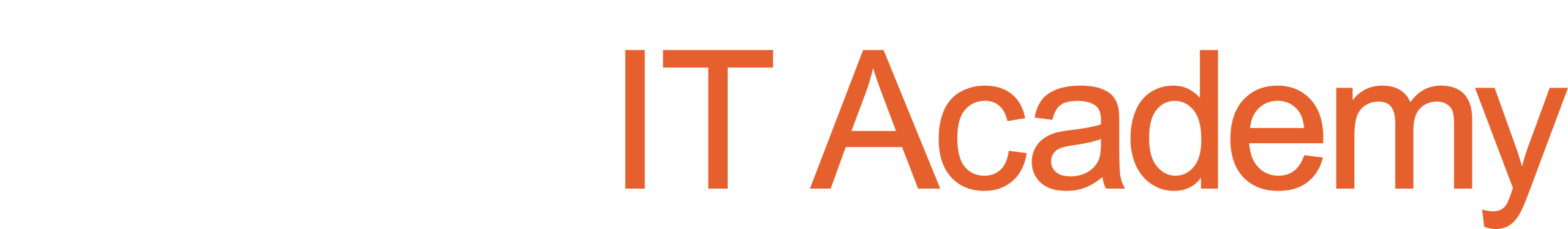 Eccera IT Academy